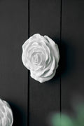 S 2 White Rose Hanging Wall Accents White Resin