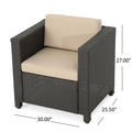 Club Chair Mp4 Brown Beige Rattan Metal