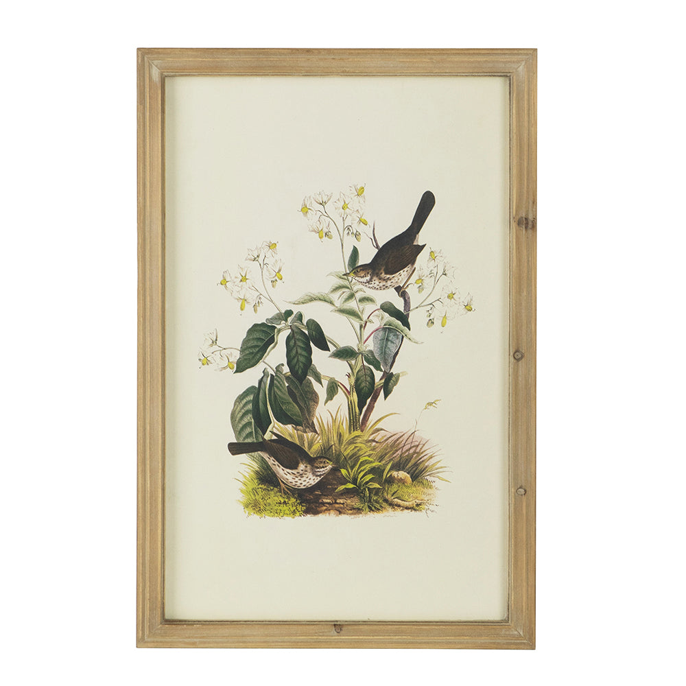 S 4 Bird Framed Print, 15.5X23.5" Multicolor Wood