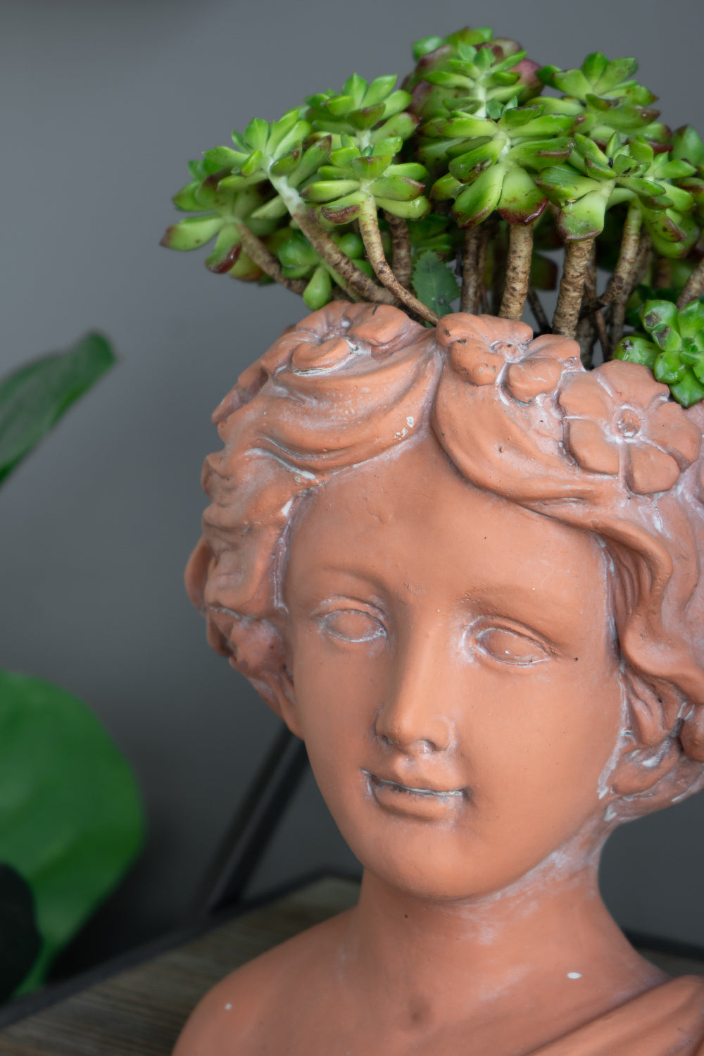 9X5.5X9.5" Brown Head Bust Planter, Greek Style Cement Head Planter Indoor Outdoor Home Garden Decor Brown Garden & Outdoor Cement