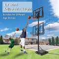 Basketball Hoop Basketball System 4.76 10Ft Height Adjustable With 4 Basketball, Net Pocket, Inflator Set Black Metal