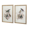 S 2 Bird Framed Print, 19.5X27.5