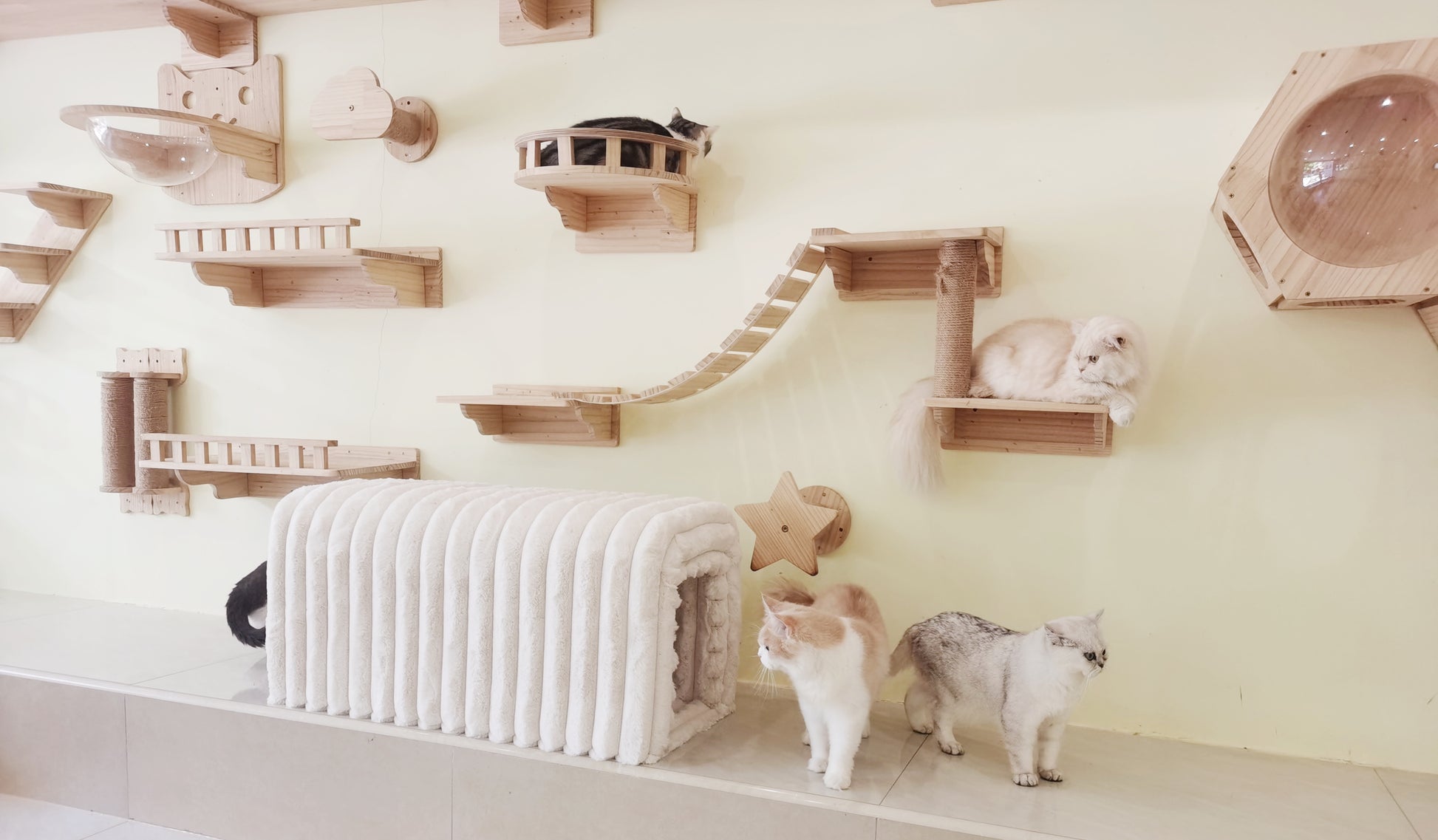 Ottoman Storage Bench Pet Supplies Corduroy Bench Cat'S Nest To Hide For The Living Room, Entryway And Bedroom Beige Corduroy