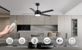 Modern Ceiling Fan With Light And Remote Control, 52 Inch Airflow Cool Airflow Warm, 5 Reversible Blades, Dimmable Led Light,For Living Room And Bedroom Black Modern Plywood