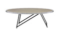 Allis Weathered Gray Oak & Metal Finish Coffee Table Black,Oak Metal,Synthetic Wood