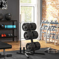 Soozier 2 Inch Weight Rack For Plates And 3 Bars, Olympic Weight Tree Bumper Plate Storage Holder, 660 Lbs. Capacity, Black Black Steel