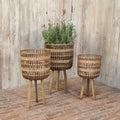 S 3 Bamboo Planters 11 13 15