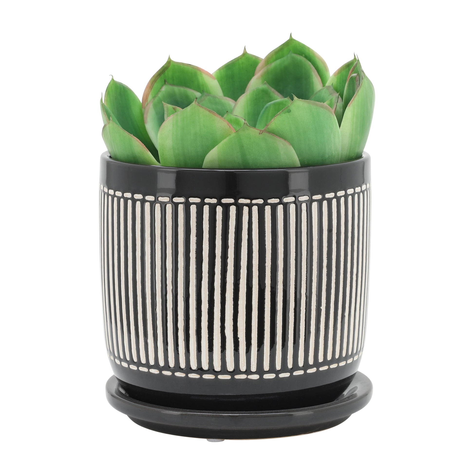 S 2 5 6" Vertical Lines Planter W Saucer, Black Black Ceramic