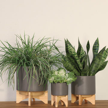 5" Planter W Wood Stand, Matte Gray Gray Ceramic