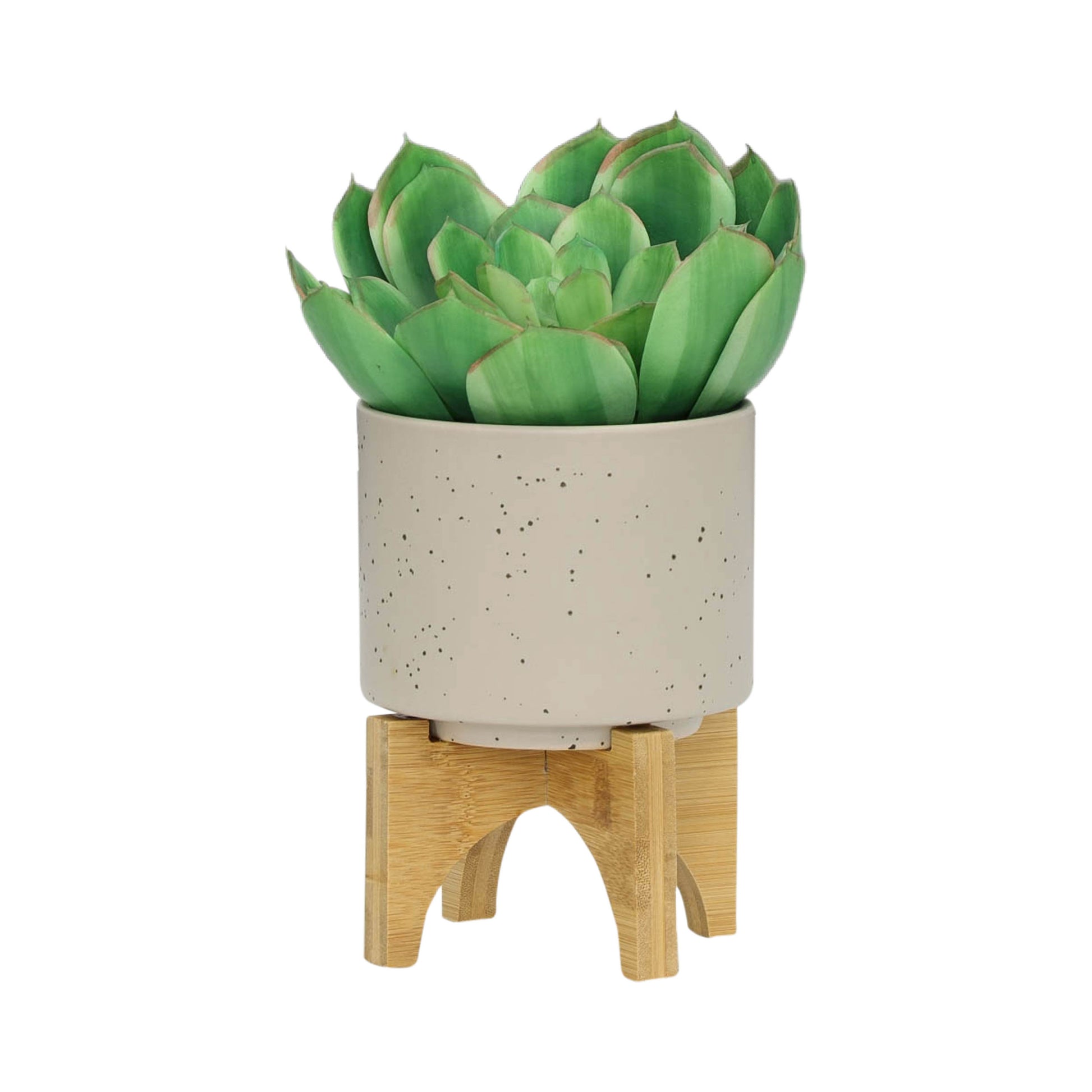 S 2 5 8" Planter W Wood Stand, Matte Beige Beige Ceramic