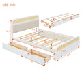 Queen Size Wooden Platform Bed With Trundle And 2 Drawers,White Queen White Solid Wood Mdf