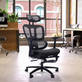 Adjustable Ergonomic Black Mesh Office Chair With Headrest And Footrest, Conference Computer Desk Chair Caster Nylon Black Office Foam Rectangular Contemporary Push Button Office Chairs Plywood Foot Rest Metal Mesh