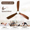 60 Inch 3 Solid Wood Blade Dc Motor Ceiling Fan Decorate For The Living Room With Light Black Metal & Wood