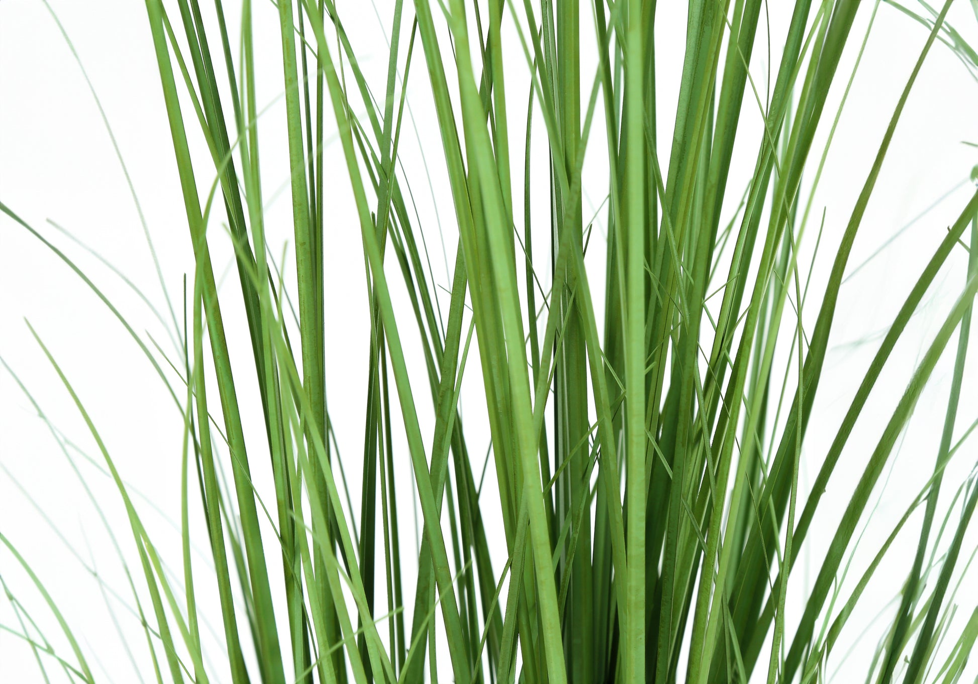 Artificial Plant, 47" Tall, Grass Tree, Indoor, Faux, Fake, Floor, Greenery, Potted, Real Touch, Decorative, Green Grass, Black Pot Green Foam Plastic