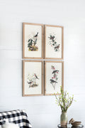 S 4 Bird Framed Print, 15.5X23.5