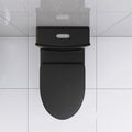 Matte Black Elongated One Piece Toilet Dual Flush 1.1 1.6 Gpf Water Saving Map 1000G,Matte Black Matte Black Bathroom Modern Porcelain