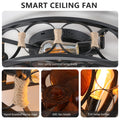 Caged Ceiling Fan With Lights Remote Control, Low Profile Flush Mount Farmhouse Modern Ceiling Fans, 6 Speeds Reversible Blades, 5 Led Bulbs Include Black Black Abs Iron