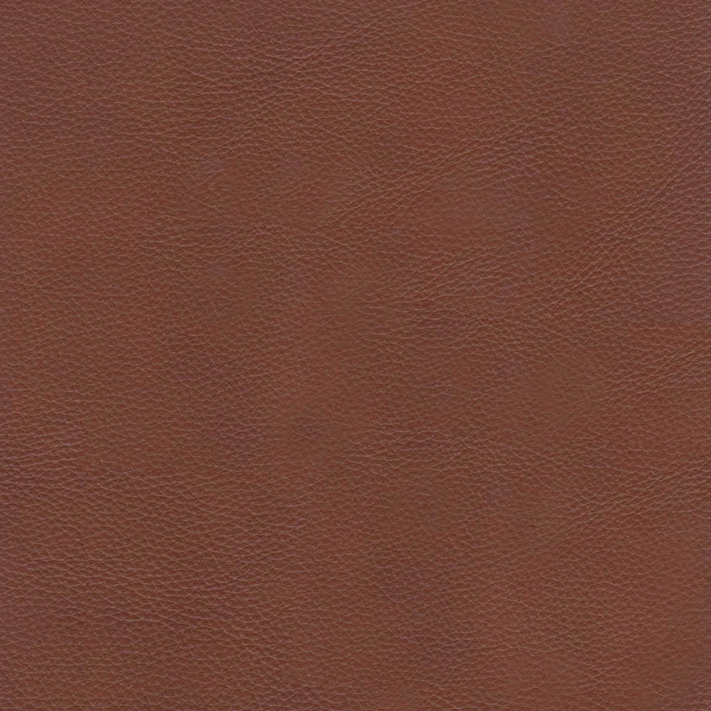 Brookfield Leather Sofa Brown Genuine Leather Wood Primary Living Space Medium Firm Cushion Back Mid Century Modern Eucalyptus Rolled Arms Down Filling Genuine Leather 3 Seat