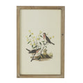 S 4 Bird Framed Print, 15.5X23.5