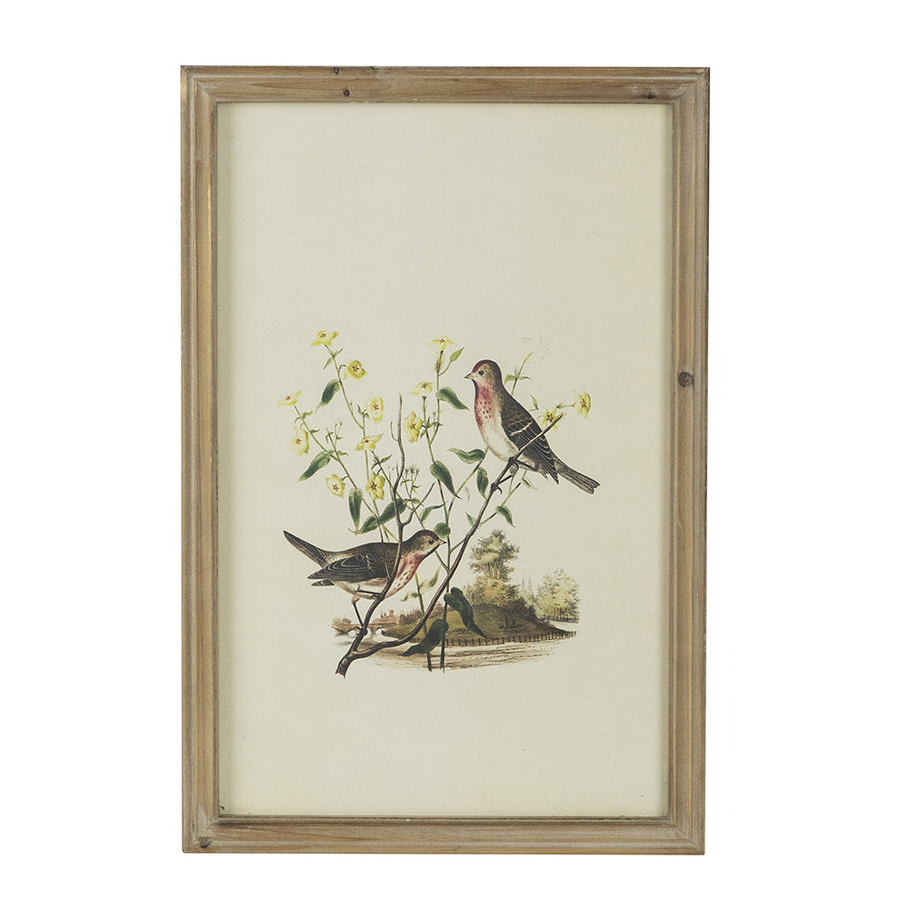 S 4 Bird Framed Print, 15.5X23.5" Multicolor Wood