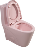 1.1 1.60 Gpf Dual Flush One Piece Toilet, Water Saving Elongated Comfort Height Floor Mounted, Soft Close 1000 Gram Map Flushing Score Toilet, Rose 23T01 Rs Rose Ceramic