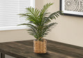 Artificial Plant, 24