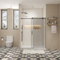 Glass Shower Door, Sliding Door, With 5 16