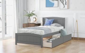 Twin Size Platform Bed With Two Drawers, Gray Gray Solid Wood