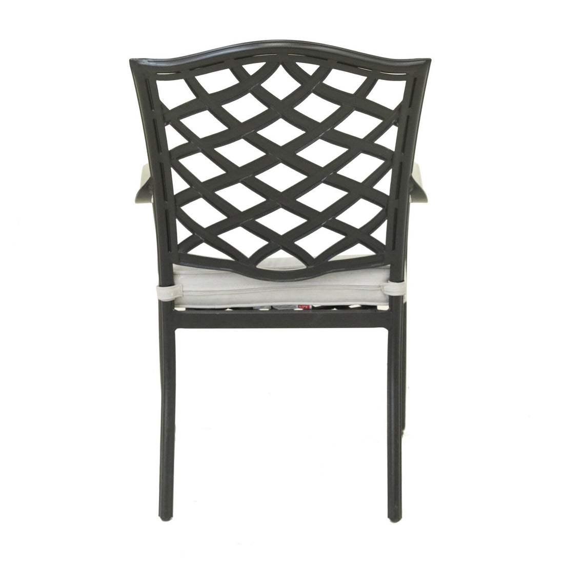 Dining Arm Chair, Cast Silver, Set Of 2 Silver Polyester Aluminum