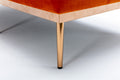 Coolmore Fashionable And Classic Style Chaise Lounge Chair Accent Chair For Living Room, Bedroom Orange Orange Foam Velvet