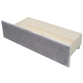 Twin Size Upholstered Daybed With Drawers, Wood Slat Support, Gray Gray Velvet