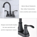 2 Handle Lavatory Faucet Bathroom Sink Faucet Black Brass