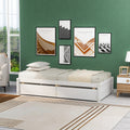 Twin Bed With 2 Drawers, Solid Wood, No Box Spring Needed , Old Sku:W50422209 Twin White Pine