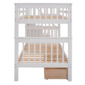 Stairway Twin Over Twin Bunk Bed With Three Drawers For Bedroom, Dorm White Old Sku: Lp000309Aak White Solid Wood