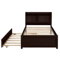 Twin Bed With Trundle,Bookcase,Espresso Twin Espresso Pine