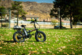 Aostirmotor Folding Electric Bike Ebike Bicycle 500W Motor 20