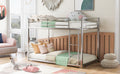 Twin Over Twin Metal Bunk Bed, Low Bunk Bed With Ladder,Silver Old Sku:Wf282465Aan Silver Metal