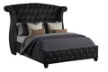 Sophia Upholstery Queen Size Bed Made With Wood In Black Color Box Spring Not Required Queen Black Wood Bedroom Contemporary,Modern Acacia Upholstered Velvet Wood