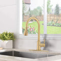 Pull Down Kitchen Faucet With Sprayer Stainless Steel Brushed Gold Brushed Gold Stainless Steel