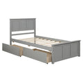 Platform Storage Bed, 2 Drawers With Wheels, Twin Size Frame, Gray Sku: Wf283062Aae Twin Gray Pine