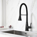 Kitchen Faucet With Pull Down Sprayer Matte Black Stainless Steel