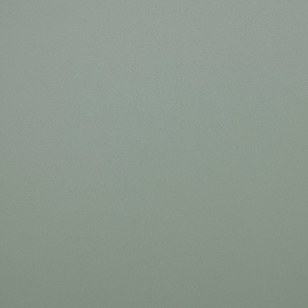 Curry 2 Door Accent Chest Mint Wood