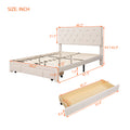 Queen Size Storage Bed Velvet Upholstered Platform Bed With A Big Drawer Beige Beige Velvet