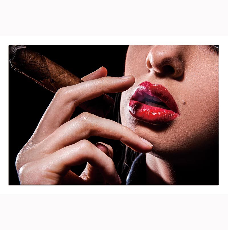 Oppidan Home "Red Lip Cigar" Acrylic Wall Art 32"H X 48"W Multicolor Acrylic