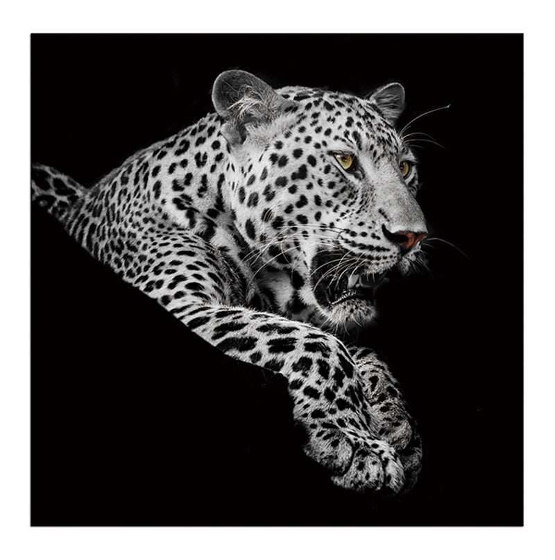 Oppidan Home "Leopard In Black And White" Acrylic Wall Art 40"H X 40"W Multicolor Acrylic