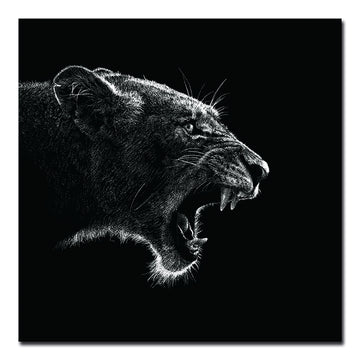 Oppidan Home "Roaring Lioness" Acrylic Wall Art 40"H X 40"W Multicolor Acrylic