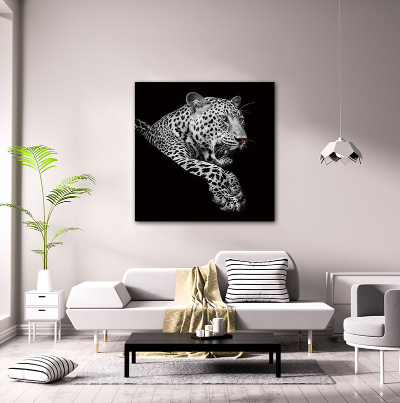 Oppidan Home "Leopard In Black And White" Acrylic Wall Art 40"H X 40"W Multicolor Acrylic