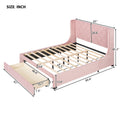 Queen Size Storage Bed Velvet Upholstered Platform Bed With Wingback Headboard And A Big Drawer Pink Pink Upholstered