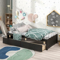 Twin Bed With 2 Drawers, Solid Wood, No Box Spring Needed ,Espresso Old Sku:W50441670 Twin Espresso Pine