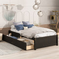 Twin Bed With 2 Drawers, Solid Wood, No Box Spring Needed ,Espresso Old Sku:W50441670 Twin Espresso Pine